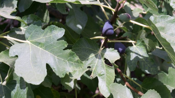 DSC0588220180827110741